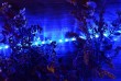 NEXOS LED svetelný kábel 20 m, 480 LED diód, modrý