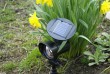 Záhradný LED Solárny reflektor Garth s 3 LED diódami