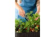 Kvetináč EASY GROW - hnedý