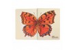 Poznámkový blok A5 s motýly