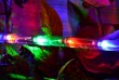 NEXOS LED svetelný kábel 10 m, 240 LED diód, farebný