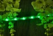 NEXOS LED svetelný kábel  10 m,  240 LED diód, zelený