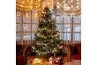 VOLTRONIC Vianočná reťaz 5 m, 50 LED, teplá / studená biela